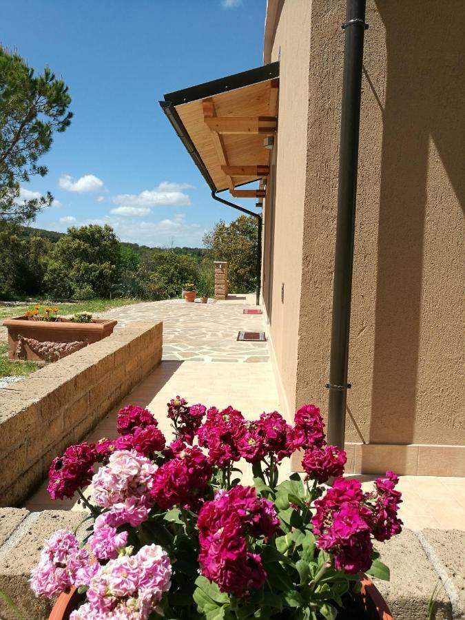 Villa Sonnellino In Maremma Massa Marittima Exterior foto