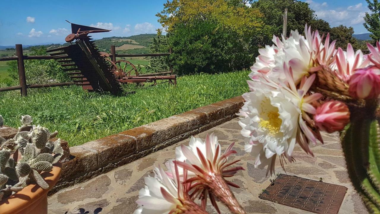 Villa Sonnellino In Maremma Massa Marittima Exterior foto